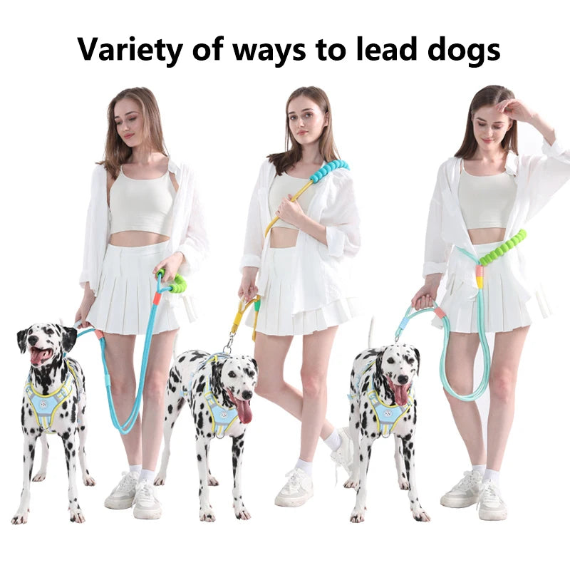 Versatile Pet Traction Leashes with a Comfortable Foam Handle