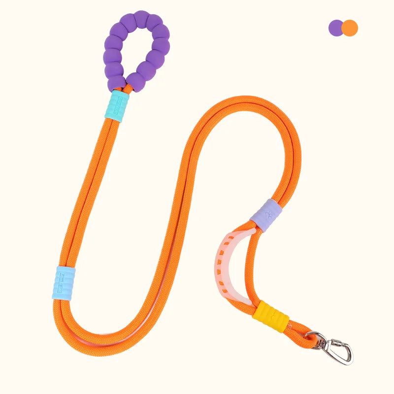 Versatile Pet Traction Leashes with a Comfortable Foam Handle