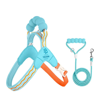 Cute Y Style Dog Harness and Leash Set Soft Lightweight Puppy Vest Harness Comfortable Walking for Small Medium Dogs