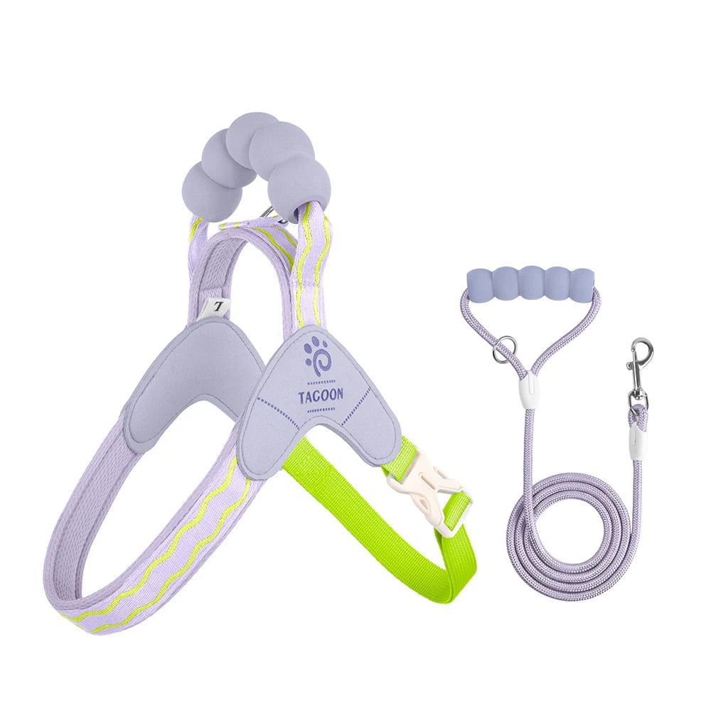 Cute Y Style Dog Harness and Leash Set Soft Lightweight Puppy Vest Harness Comfortable Walking for Small Medium Dogs