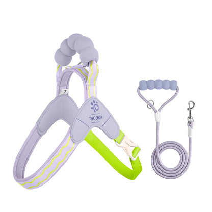 Cute Y Style Dog Harness and Leash Set Soft Lightweight Puppy Vest Harness Comfortable Walking for Small Medium Dogs