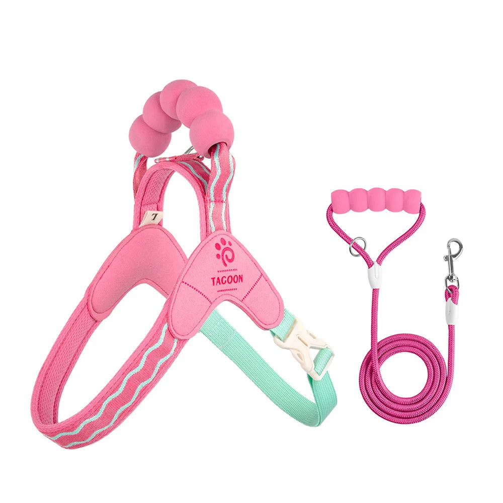 Cute Y Style Dog Harness and Leash Set Soft Lightweight Puppy Vest Harness Comfortable Walking for Small Medium Dogs