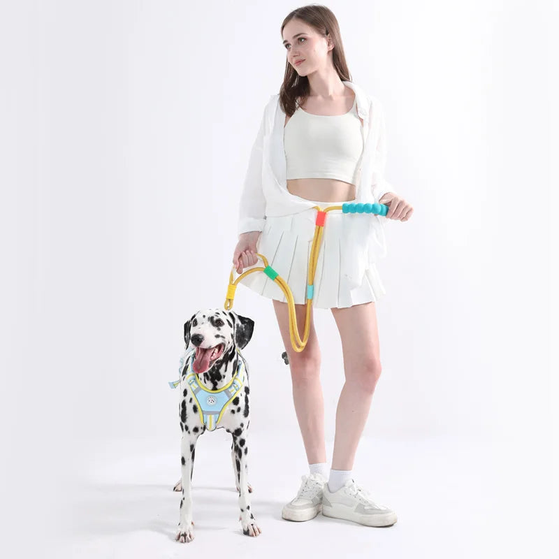 Versatile Pet Traction Leashes with a Comfortable Foam Handle