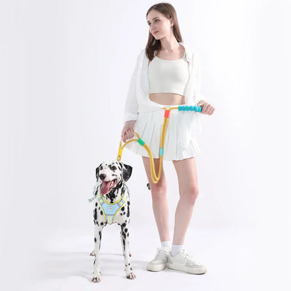Versatile Pet Traction Leashes with a Comfortable Foam Handle