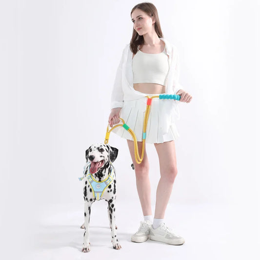Versatile Pet Traction Leashes with a Comfortable Foam Handle