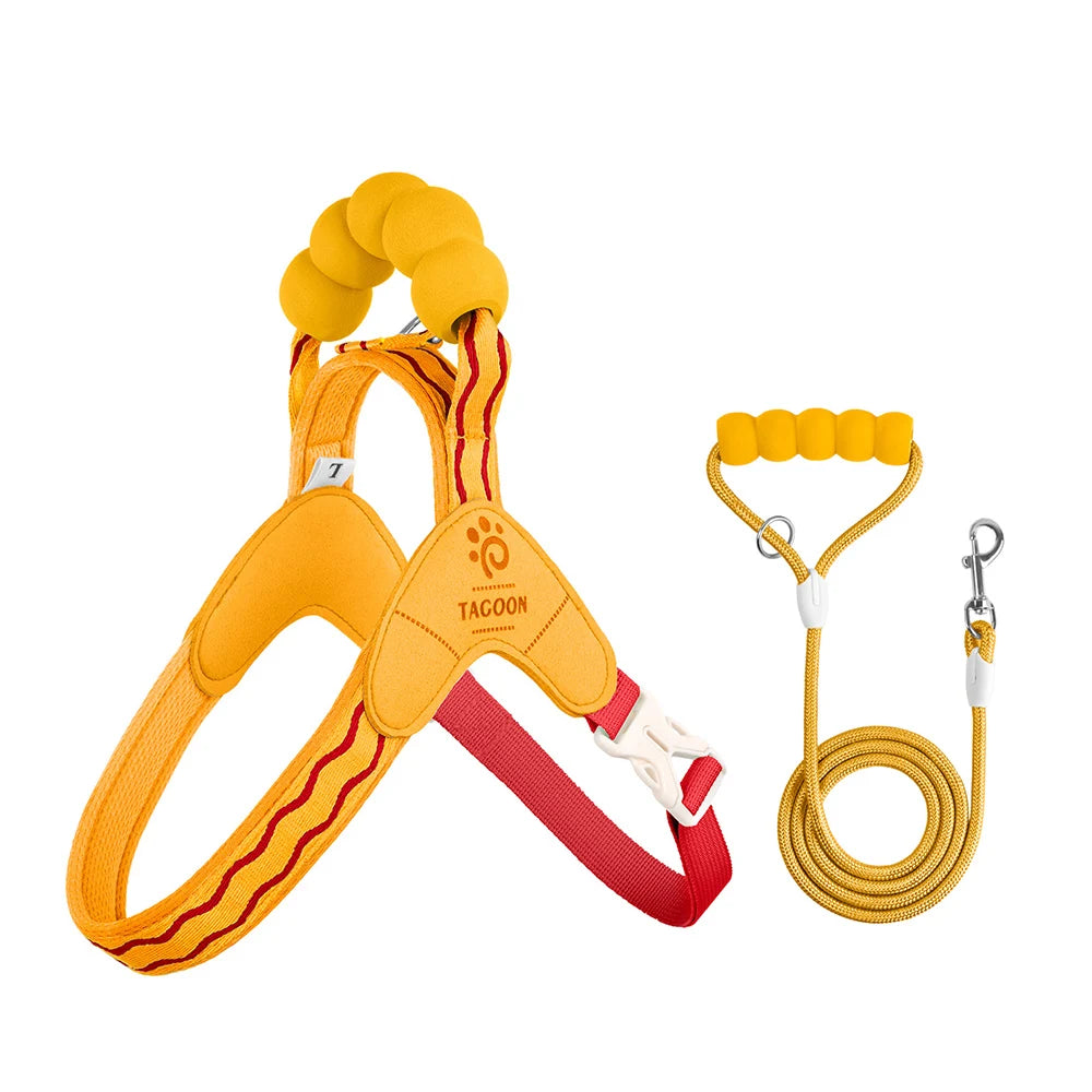 Cute Y Style Dog Harness and Leash Set Soft Lightweight Puppy Vest Harness Comfortable Walking for Small Medium Dogs