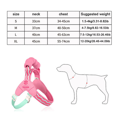 Cute Y Style Dog Harness and Leash Set Soft Lightweight Puppy Vest Harness Comfortable Walking for Small Medium Dogs