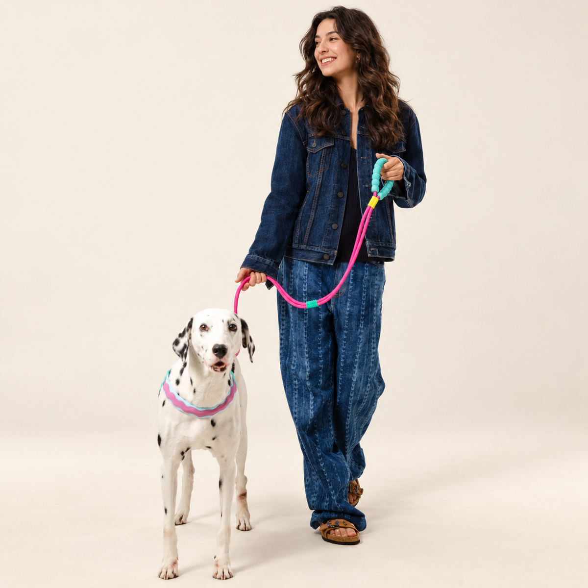 CandyLoop™ No-Pull Dog Walk Kit