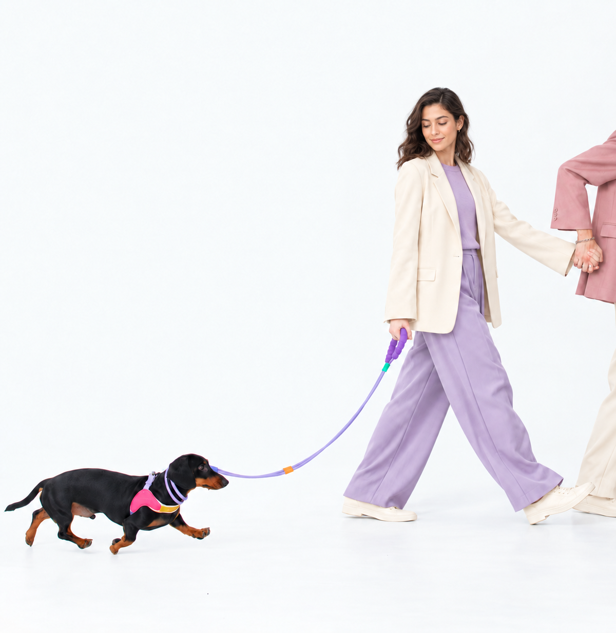 CandyLoop™ No-Pull Dog Walk Kit
