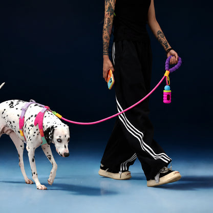 CandyLoop™ No-Pull Dog Walk Kit