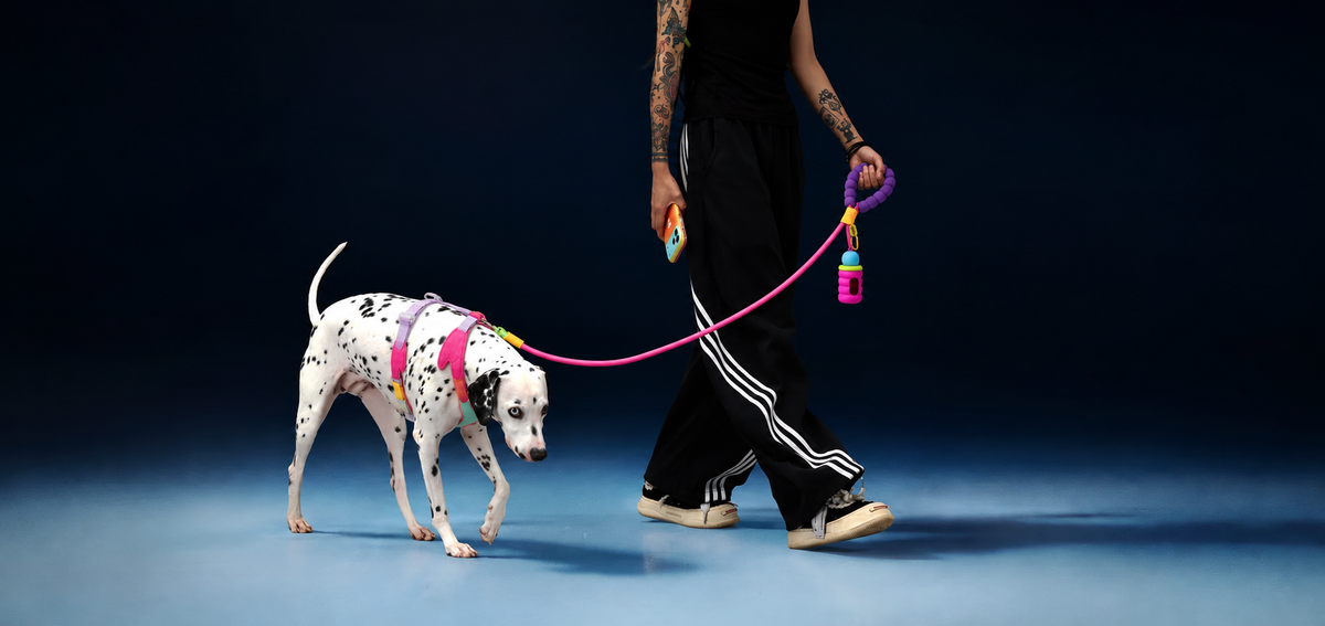 Collection banner