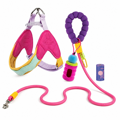 CandyLoop™ No-Pull Dog Walk Kit