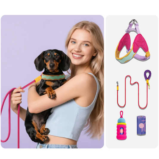 CandyLoop™ No-Pull Dog Walk Kit