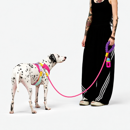 CandyLoop™ No-Pull Dog Walk Kit